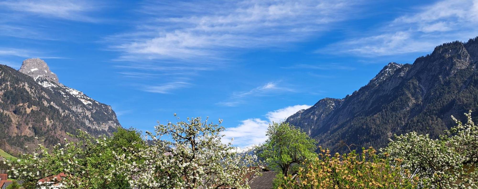 Baers Mountain Stay Ausserbraz Innerbraz Kültér fotó