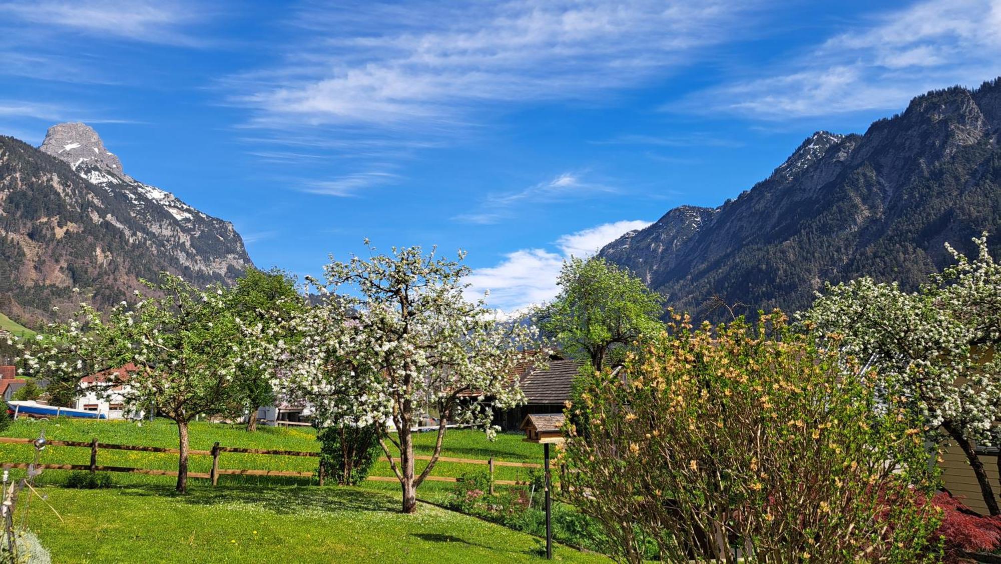 Baers Mountain Stay Ausserbraz Innerbraz Kültér fotó