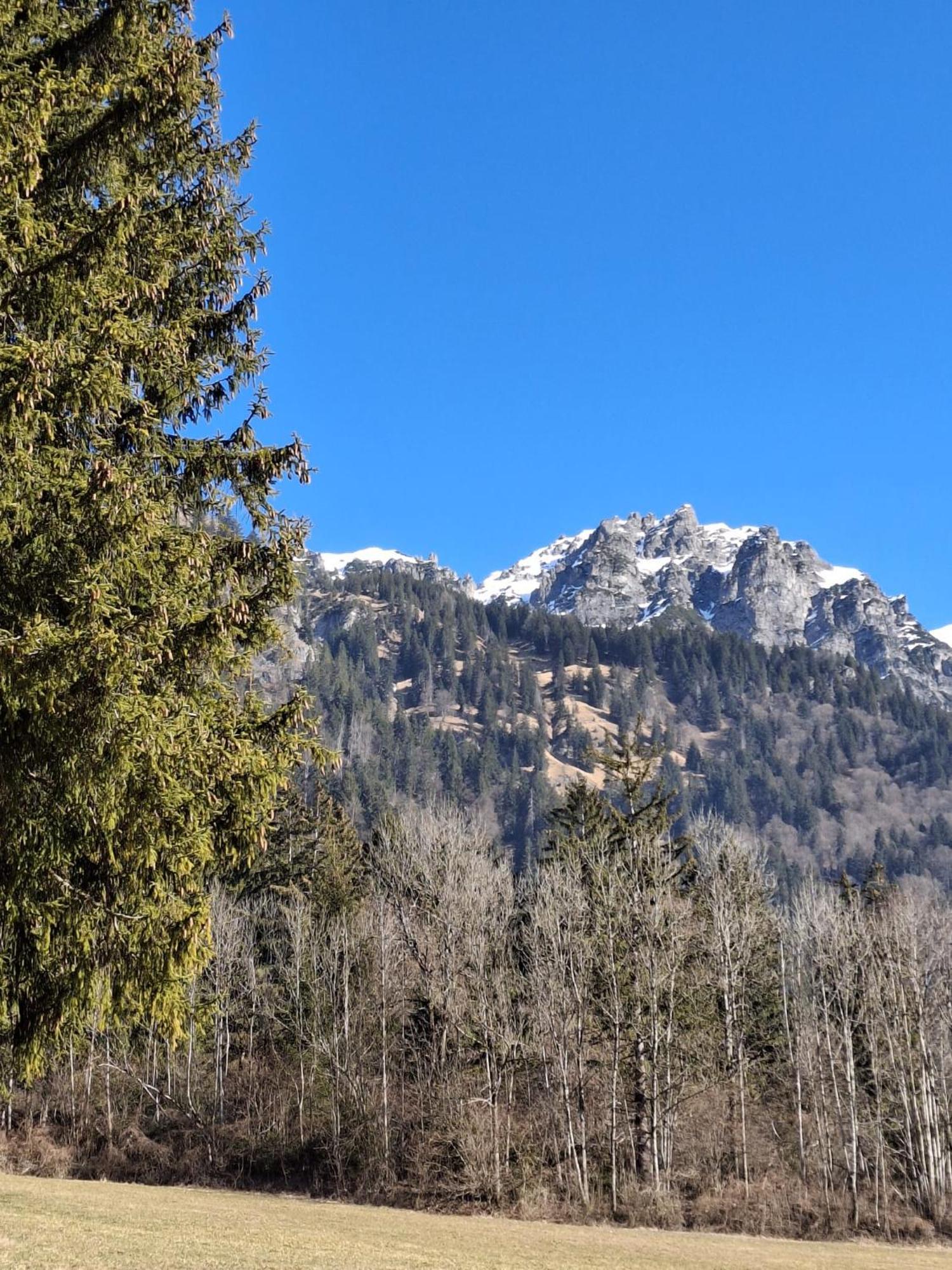 Baers Mountain Stay Ausserbraz Innerbraz Kültér fotó