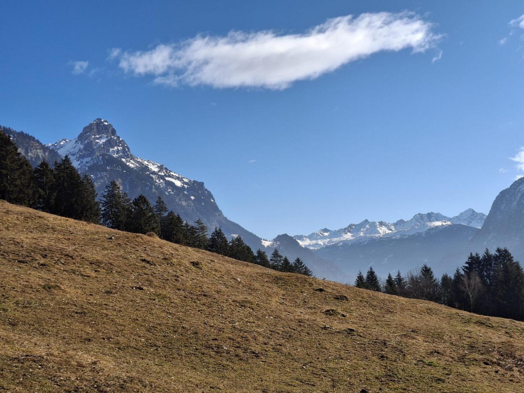 Baers Mountain Stay Ausserbraz Innerbraz Kültér fotó